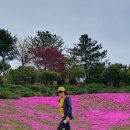 동산잔디 이미지