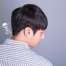 댄디라인 네이버블로그