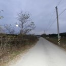 거진11리 마을 이미지