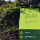 광신목장 티스토리