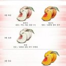 용택농장 이미지