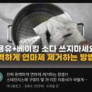 [25년 캐나다] 4. 28~5. 4 달빛 창가에서