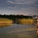 흥왕낚시터 이미지