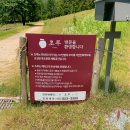 초루 | 전남 보성 자연속에서 즐기는 특별한 티코스 초루 오감코스 후기