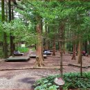 향-녹음의 계절 이미지