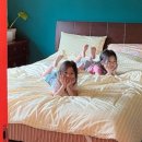 벽돌집순이 이미지