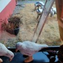 초록이둥지협동조합 이미지