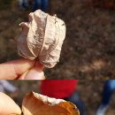 겨울나기 생태수업 이미지