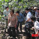 박상수농장 이미지