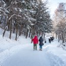 새하얀목장 이미지