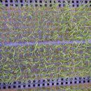 진봉농장 이미지