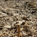 후인농장 이미지