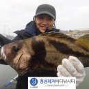 바다정성