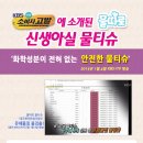 베이직홀릭