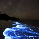 바다야 별아 이미지