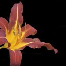 생초IC주유소 이미지