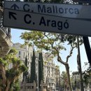 바르셀로나Barcelona 2 | 바르셀로나 맛집, 가우디 구엘공원, 바르셀로나 대성당, 바르셀로나 가볼 만한 곳