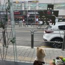 이다애견미용실 이미지