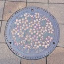 루맨홀 24 이미지