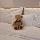 살롱 드 방동 이미지