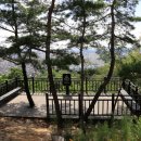 수락산길 이미지