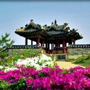 수원-1801 이미지