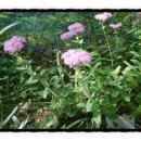 김진영행정사사무소 이미지