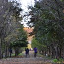 경주산림환경연구원 이미지