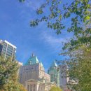 안동돼지국밥 이미지