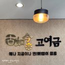 석남역 | 고여금감자탕 석남역 맛집 본점 내돈내산 후기