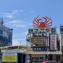속초 대포항맛집 [머구리횟집]
