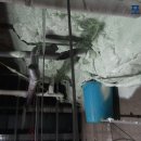 롯데마트 시화점 이미지