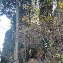 통영등대낚시공원 | 통영으로 1박2일 겨울여행🚗 (5)(호텔의아침,미래사 편백나무숲,통영등대낚시공원,이마트)