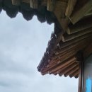 고운재