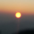 산사랑산약초 이미지