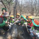 양곡어린이집 이미지