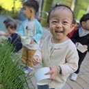 10/2(수) 10/1 채식인의 날을 기념하여 채소수확하고 손질해보기, 채소전 맛보기 이미지