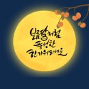 진심정