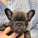 멜로디펍스 이미지