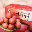 썬샤인 농원 이미지
