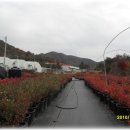 서창농장 이미지