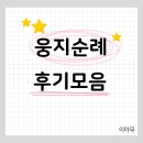 웅지 이미지