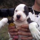 영민농장2 이미지