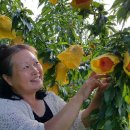 애플랜드 이미지