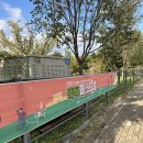 서호잔디광장 이미지