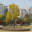 이지현내과의원 이미지