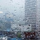 송*욱 - 안양시 동안구 달안로 78 | 송*욱