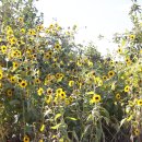 가야농장 이미지