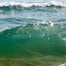 동해화장실 | 퇴사 후 어디 갔니? 동해 갔지 🌊 (3) 숙소 편 - 컬트의 성지 동해보양온천컨벤션 호텔 후기