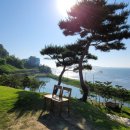 라르고빌리조트(테라스하우스,하버하우스) 이미지